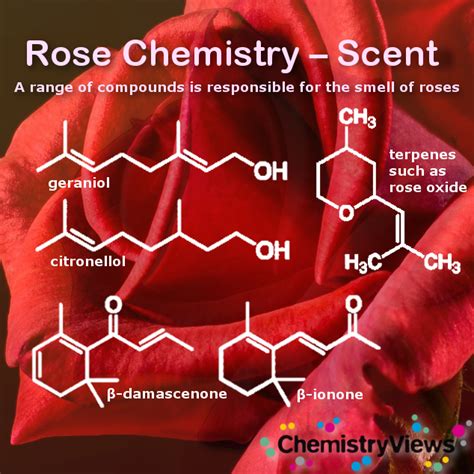 rose perfume formula.